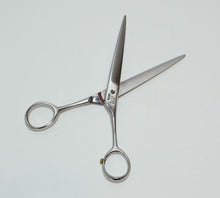 Load image into Gallery viewer, 46002005