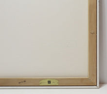 Load image into Gallery viewer, 47246719