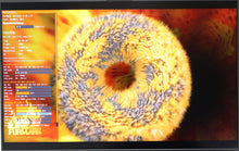 Load image into Gallery viewer, 47338430
