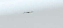 Load image into Gallery viewer, 47556318