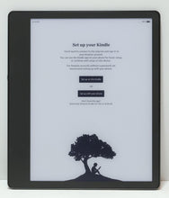 Load image into Gallery viewer, 47370565