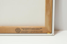 Load image into Gallery viewer, 45188858