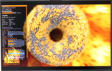 Load image into Gallery viewer, 47338430