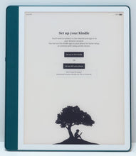 Load image into Gallery viewer, 47899802