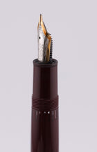 Load image into Gallery viewer, 45752704