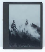 Load image into Gallery viewer, 47495984