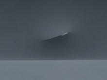 Load image into Gallery viewer, 47909676