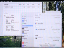 Load image into Gallery viewer, 46358755