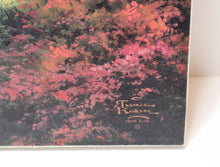 Load image into Gallery viewer, 45390427