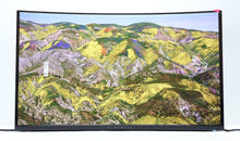 Load image into Gallery viewer, 47827535