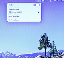 Load image into Gallery viewer, 45892229