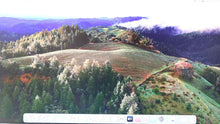 Load image into Gallery viewer, 44478046
