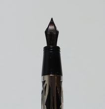 Load image into Gallery viewer, Visconti Istos Aracnis Art Nouveau Spider Web 14K Firenze 585 Fountain Pen
