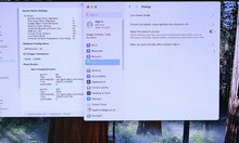 Load image into Gallery viewer, 45919727
