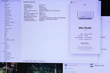 Load image into Gallery viewer, 45297082
