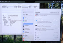 Load image into Gallery viewer, 45210752
