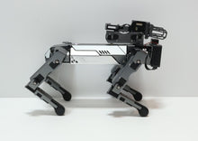 Load image into Gallery viewer, 46319549
