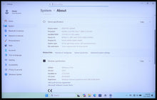 Load image into Gallery viewer, 47385047
