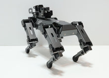 Load image into Gallery viewer, 46319549
