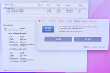 Load image into Gallery viewer, 45435993
