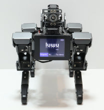 Load image into Gallery viewer, 47252316
