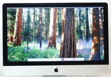 Load image into Gallery viewer, 47319691
