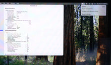Load image into Gallery viewer, 45873334
