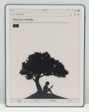 Load image into Gallery viewer, 47443773
