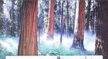 Load image into Gallery viewer, 45919727
