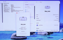 Load image into Gallery viewer, 45895070
