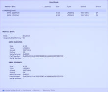 Load image into Gallery viewer, 45356953

