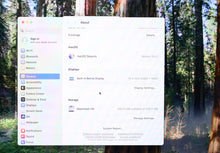 Load image into Gallery viewer, 45873334
