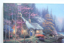 Load image into Gallery viewer, 47860258
