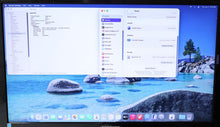 Load image into Gallery viewer, 47443777
