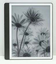 Load image into Gallery viewer, 47396318

